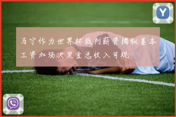 马宁作为世界杯裁判薪资揭秘基本工资加场次奖金总收入可观