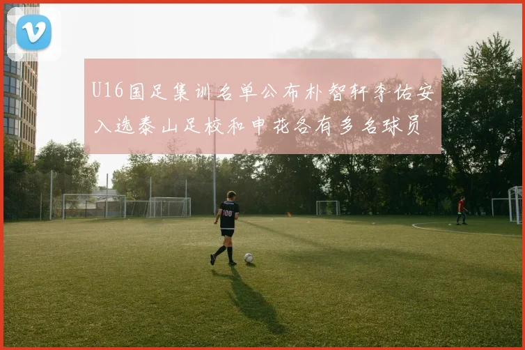 U16国足集训名单公布朴智轩李佑安入选泰山足校和申花各有多名球员参与